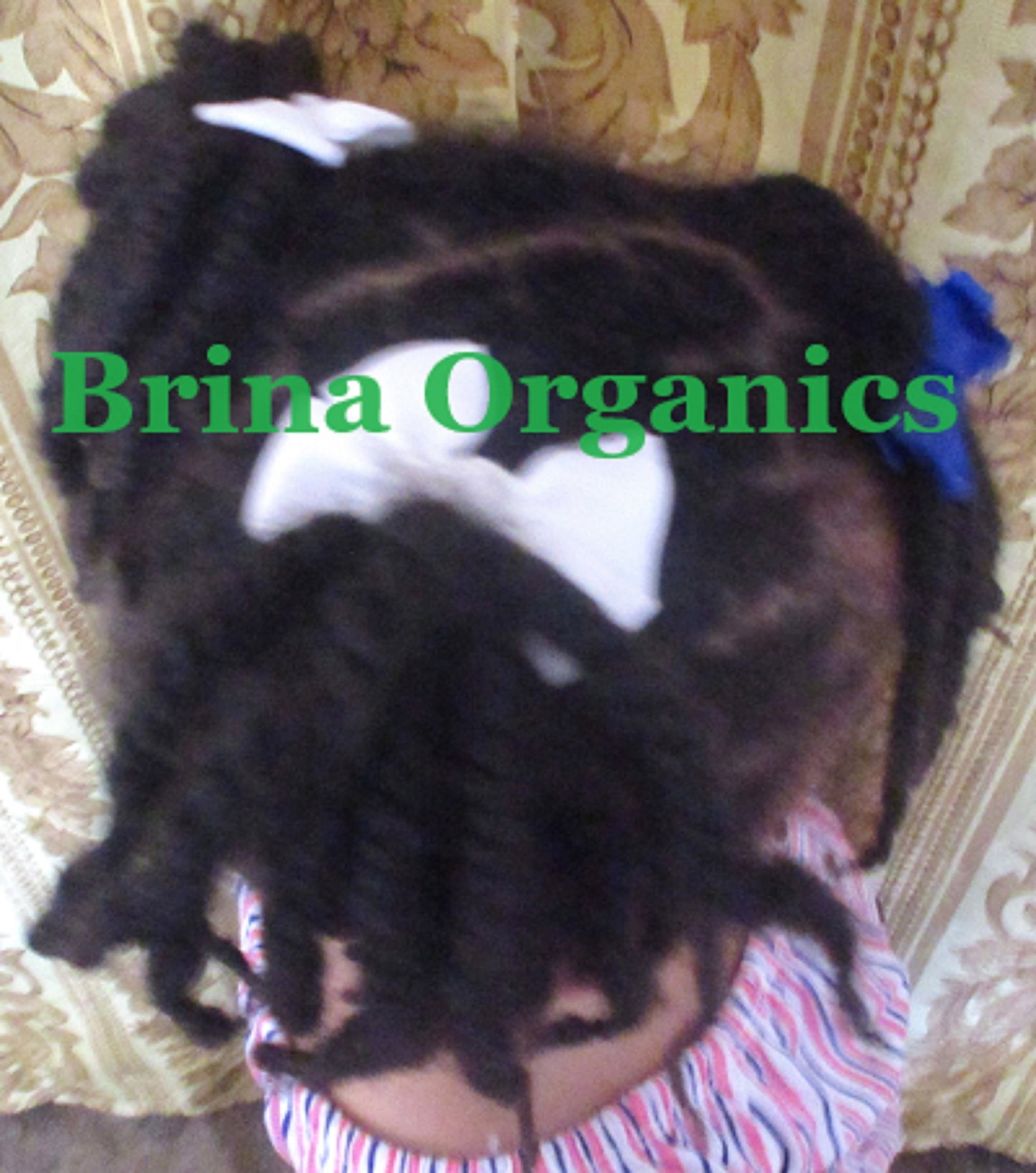 Fermented Rice Water & Biotin Hair Hydrate, Daily Hair Growth Spray, Brina Organics