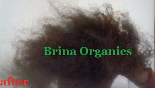 Fermented Rice Water & Bergamot Shampoo, Trigger Faster Hair Growth, Brina Organics