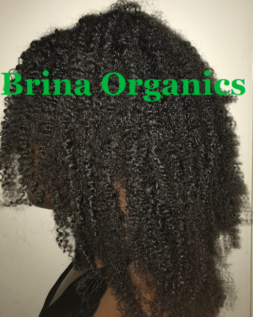 African Chebe Herb & Fenugreek Leave-in Hair Milk 16 oz., Brina Organics