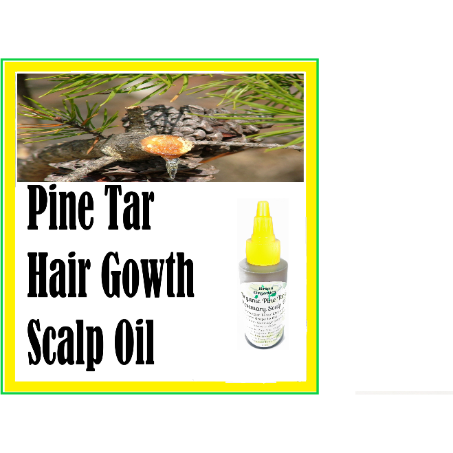 Organic Pine Tar & Rosemary Scalp Oil 2 oz.