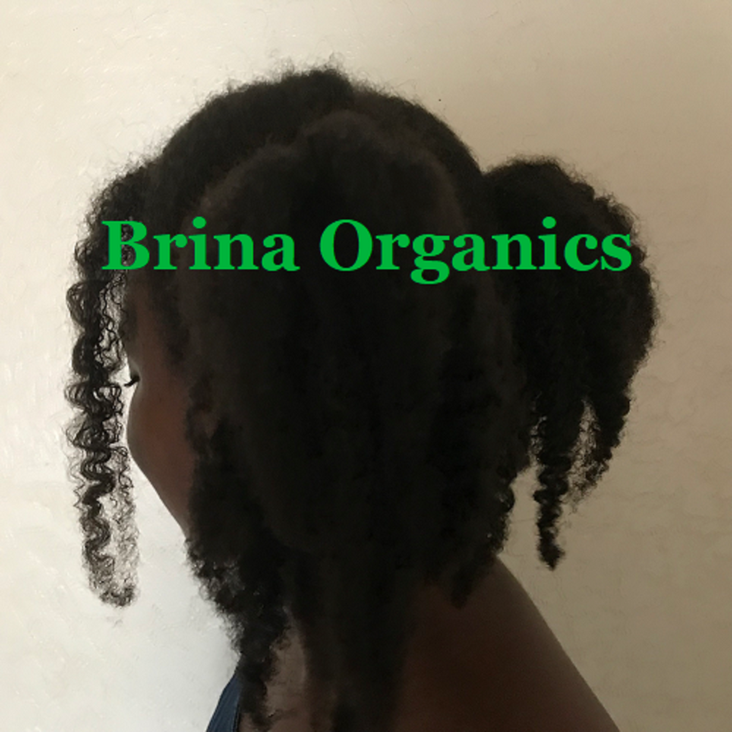 Eggplant Hair Serum  8 oz., Hair Growth Serum, Brina Organics