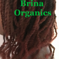 Pinetar & Biotin Shampoo Bar, Peppermint Infused, Brina Organics