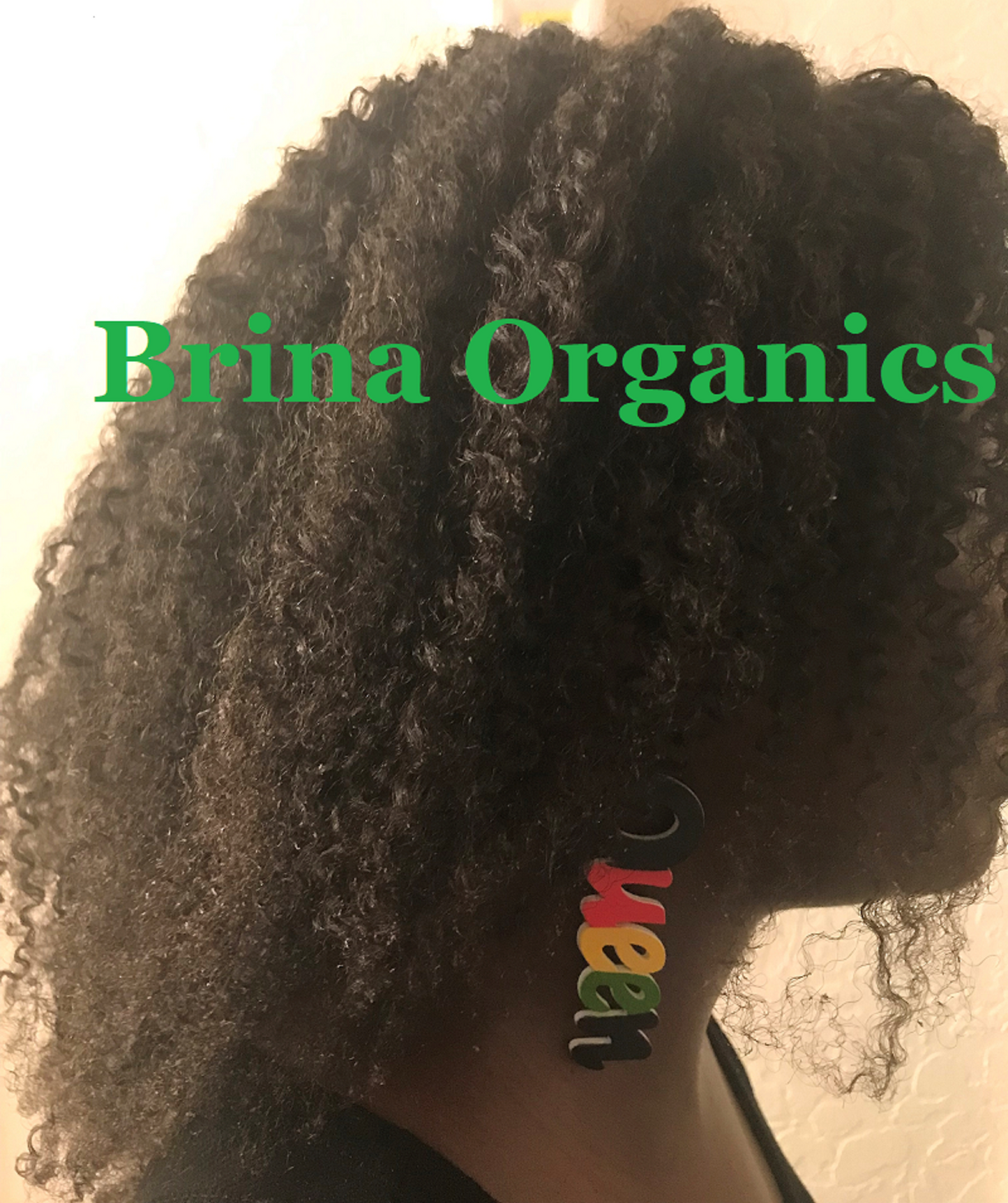 Bentonite Clay & Rice Water Leave-in Conditioner, Brina Organics