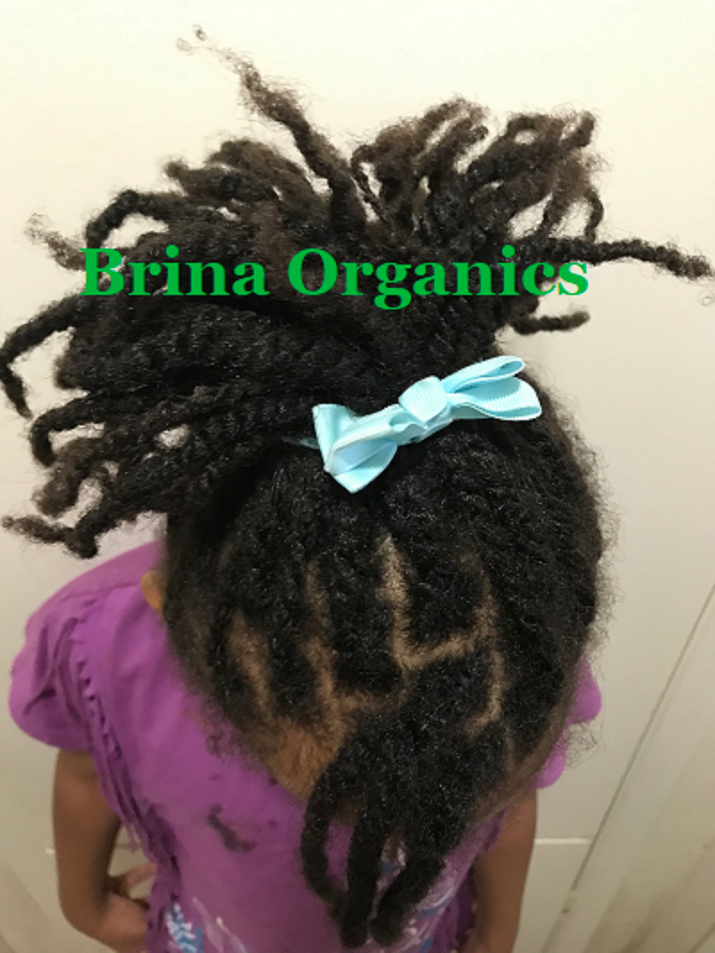 Batana Oil + Bergamot + Biotin Scalp Fusion, Organic Hair Growth Oil, Brina Organics