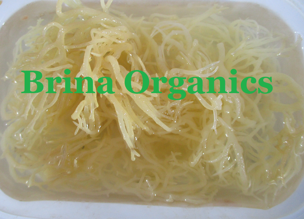 Chocolate Sea Moss & Bamboo Hair Milk, also Co-Wash Conditioner BESTSELLER, Brina Organics