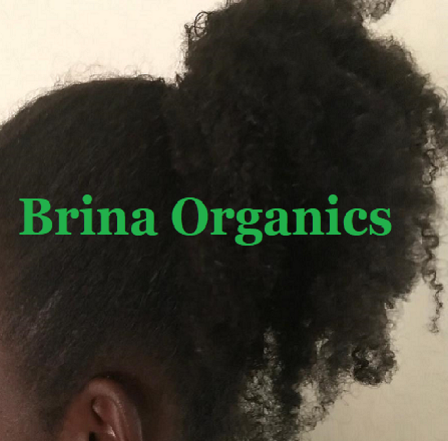 Chickpea Hair Growth Serum, Longer Hair Formula 8 oz., Brina Organics