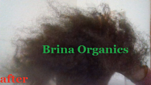 Onion & Spirulina Scalp Tonic, Hair Growth Rinse, Brina Organics