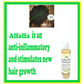 Sea Moss Alfalfa Herbal Shampoo, BESTSELLER
