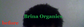 Herbal Orange Citrus Hair Cream Moisturizer, Horsetail Herb Infused, Brina Organics