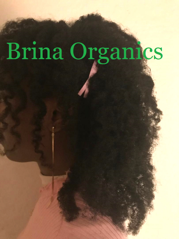 Chocolate Sea Moss & Bamboo Hair Milk, also Co-Wash Conditioner BESTSELLER, Brina Organics