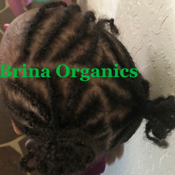 Organic Hibiscus Flower & Rice Water Hair Smoothie, BESTSELLER, Brina Organics