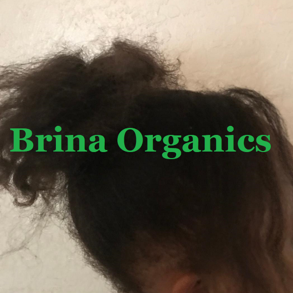 Organic Hibiscus Flower & Rice Water Hair Smoothie, BESTSELLER, Brina Organics