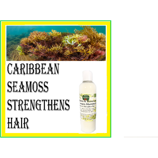 Sea Moss & Rosemary Hair Cream Moisturizer, Brina Organics
