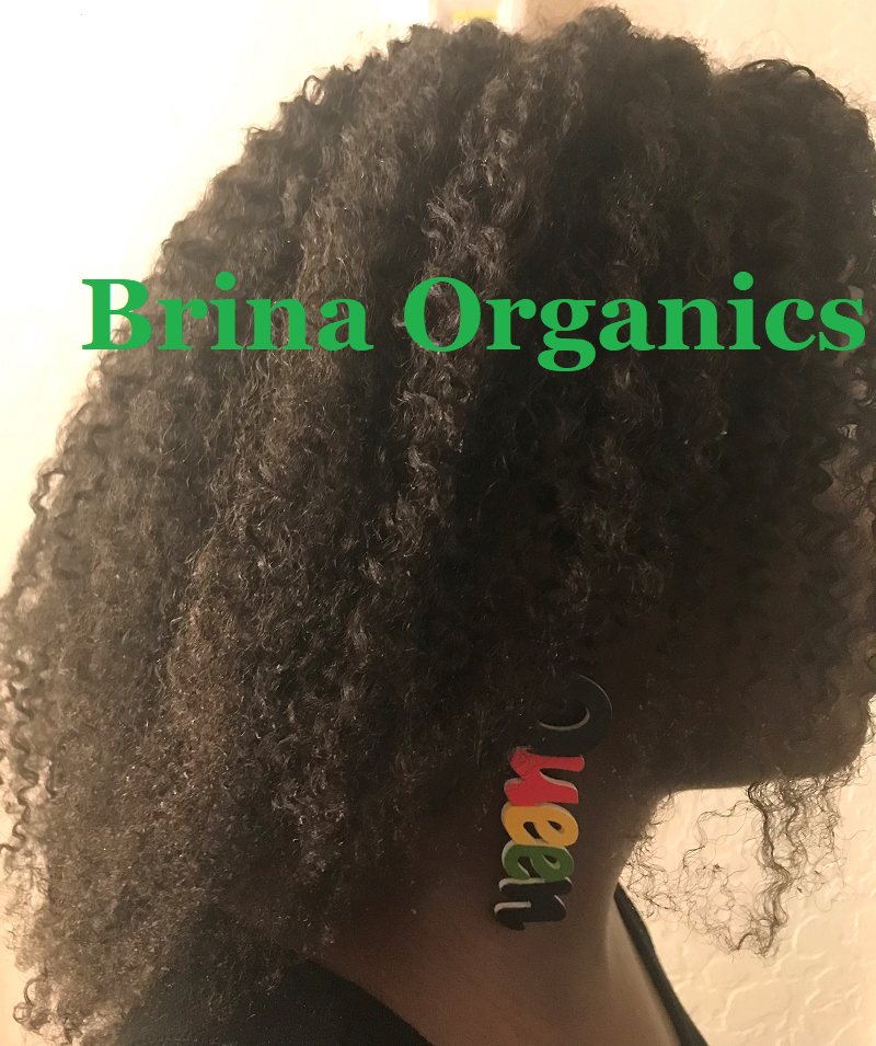 Organic Hibiscus Flower & Rice Water Hair Smoothie, BESTSELLER, Brina Organics