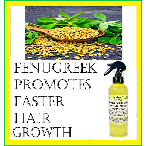 Organic Fenugreek Hair Growth Tonic Spray, Potent Formula, BESTSELLER Brina Organics
