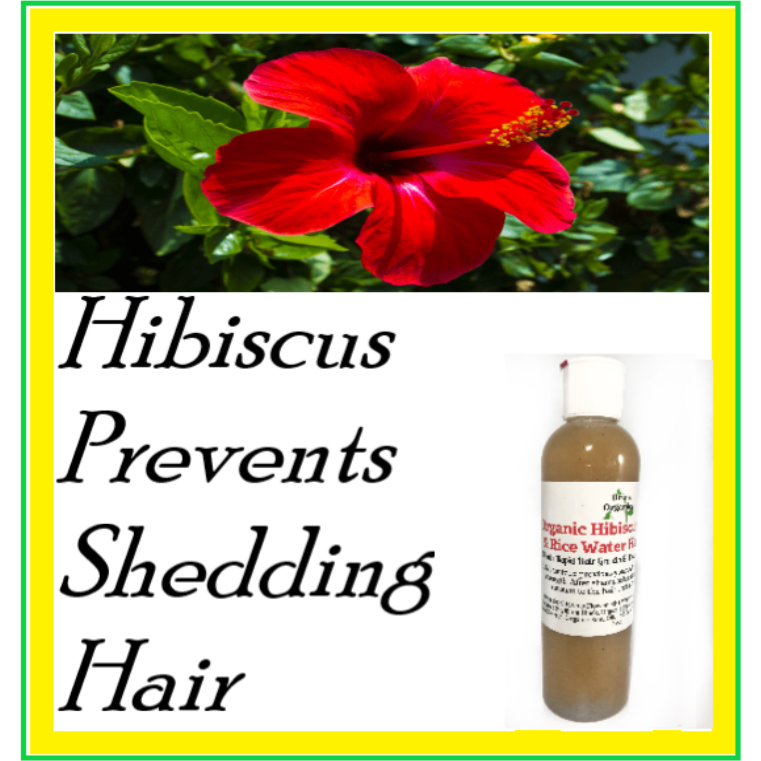 Organic Hibiscus Flower & Rice Water Hair Food, BEST SELLER Brina Organics