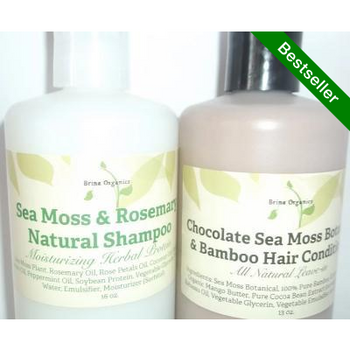 Sea Moss Hair Care Bundle Shampoo & Conditioner, Brina Organics