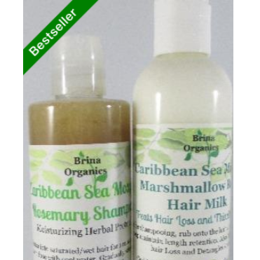 Sea Moss Hair Care Bundle, No Sulfates Herbal Shampoo & Hair Milk, Brina Organics