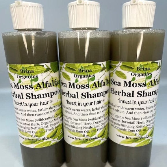 Sea Moss Alfalfa Herbal Shampoo, BESTSELLER