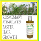 Sea Moss & Rosemary Natural Shampoo, Brina Organics