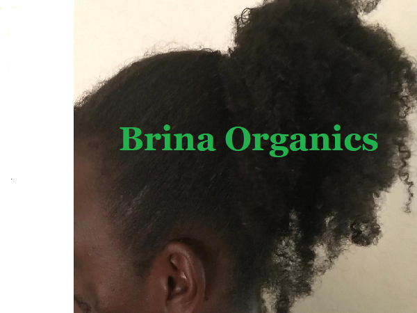 Green Juice Hair Smoothie, 13 Herbs All Natural Ingredients, Brina Organics
